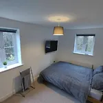 Contractor In Bs16 Проживання в сім'ї *