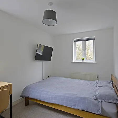 Contractor In Bs16