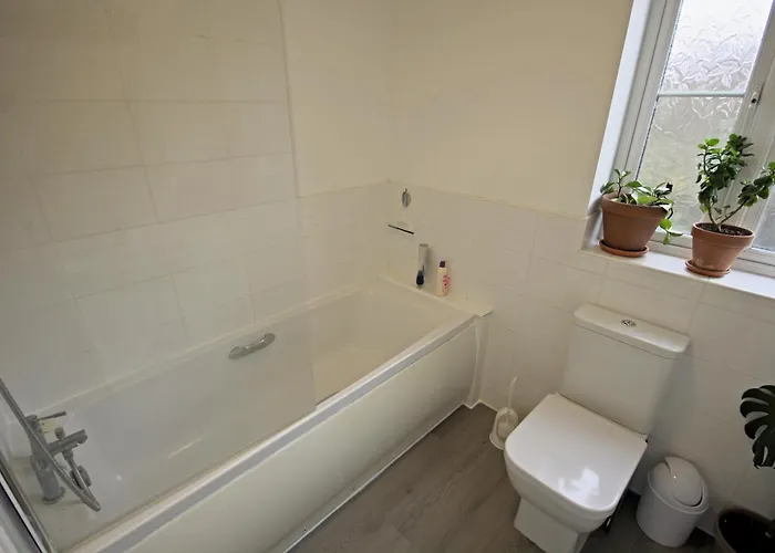 Contractor In Bs16 *