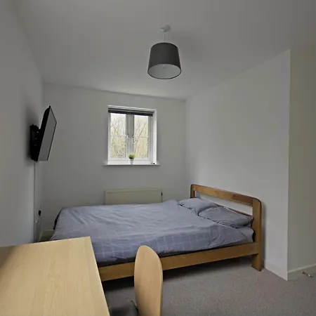 Contractor In Bs16 *