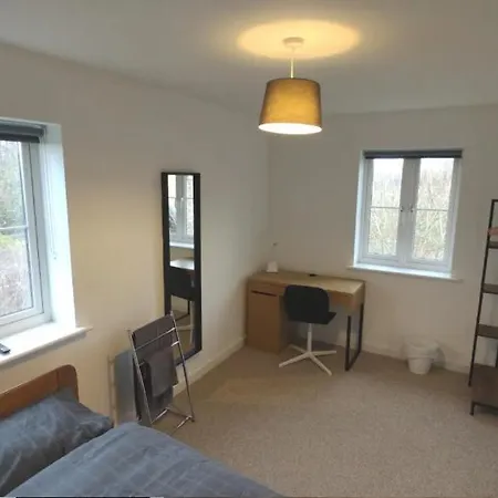 Contractor In Bs16
