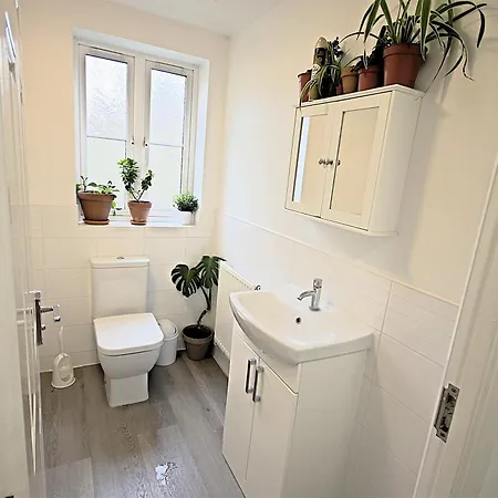 Contractor In Bs16 * Bristol