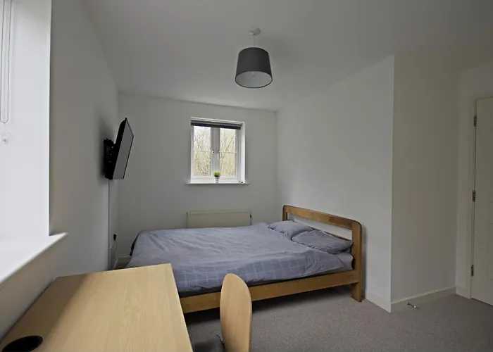 Contractor In Bs16 *