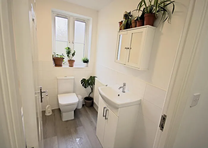 Contractor In Bs16 Bristol